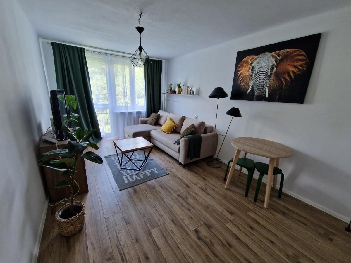 Sienkiewicza apartament - Rzeszów Exterior foto